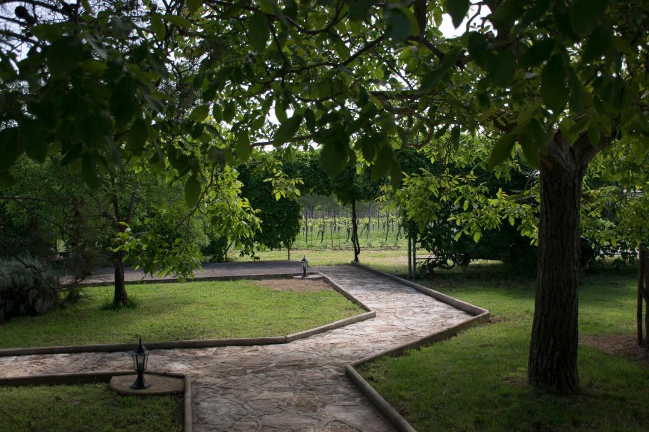 Sanja Apartments Sveti Servul Novigrad Istria Extérieur photo
