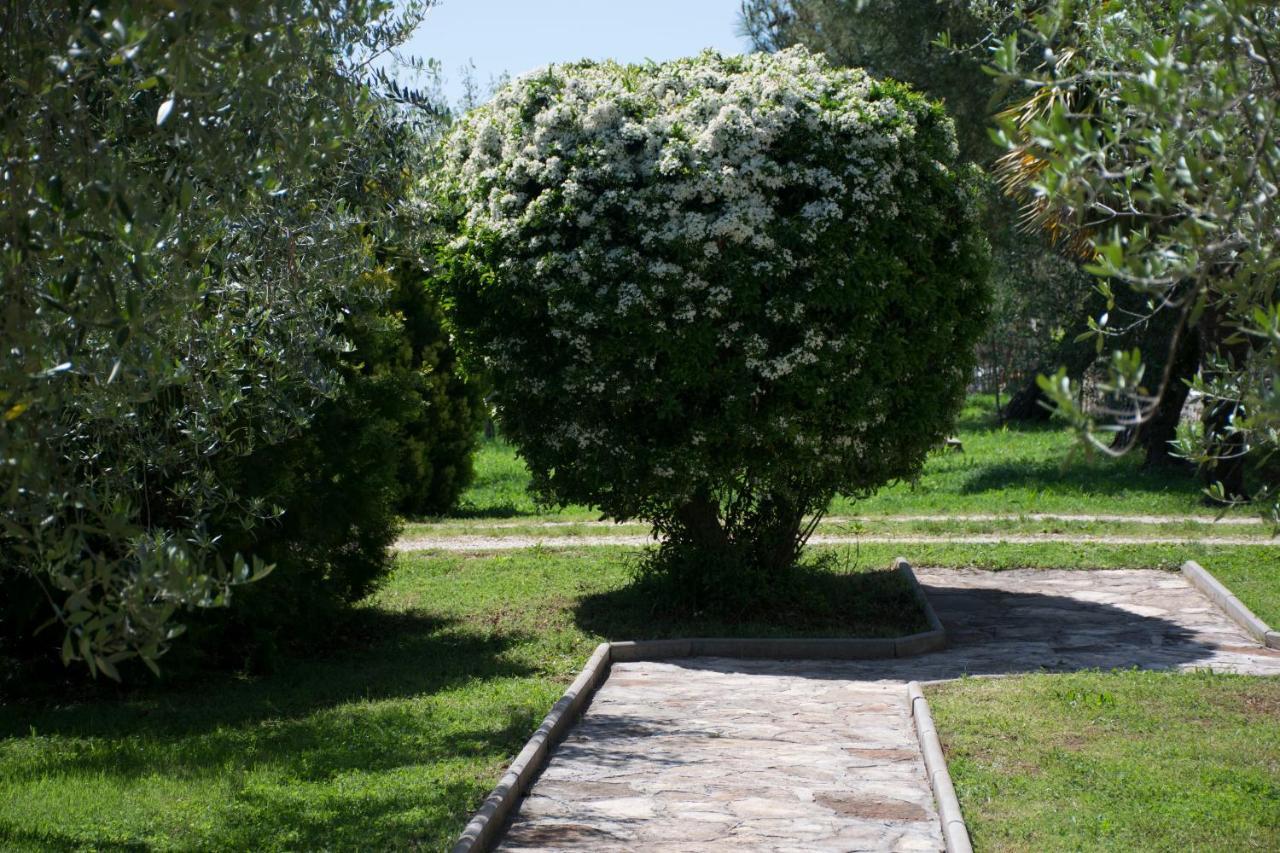 Sanja Apartments Sveti Servul Novigrad Istria Extérieur photo